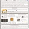 poster phages