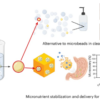 microplastique biodégradable