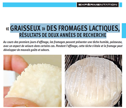 graisseux des fromages lactiques