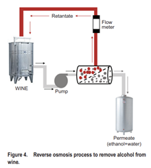 élimination alcool vin