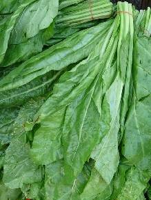 légume feuille vert