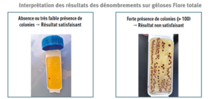 vérification nettoyage